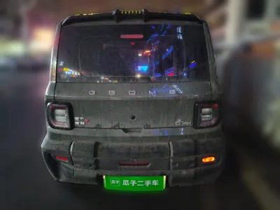 Geely Galaxy Panda