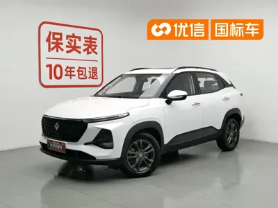 Baojun RS-3