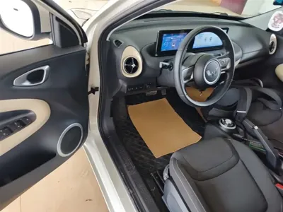 Wuling Bingo