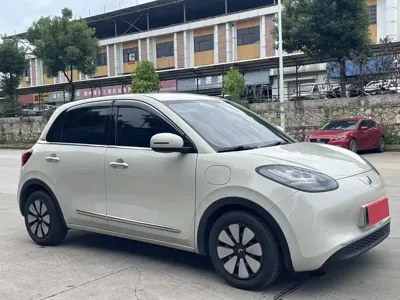 Wuling Bingo
