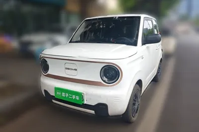 Geely Galaxy Panda