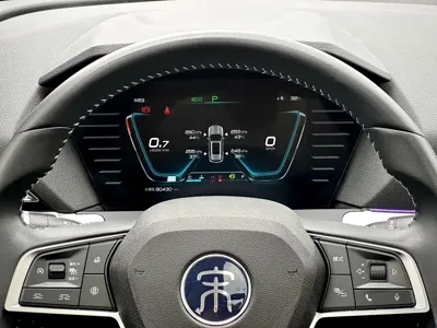 BYD Pro