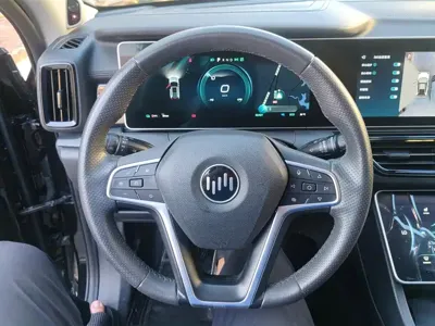 WM Motor W6
