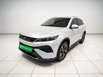 BYD Pro New Energy