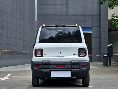 Galaxy Panda