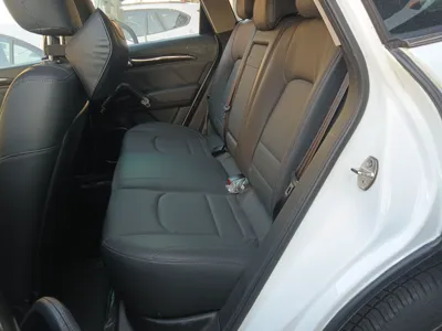 Zotye T600