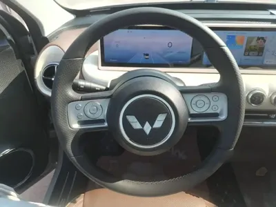 Wuling Bingo