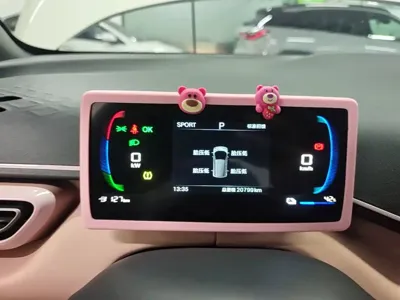 BYD Seagull