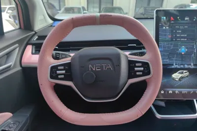 NETA V