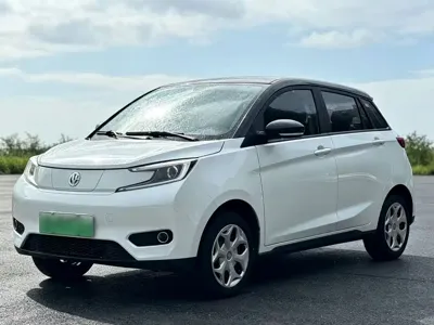 Dongfeng EV YOUNG Guang Xiaoxin