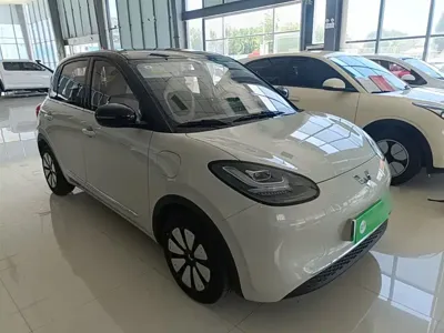 Wuling Bingo