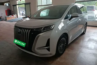 Denza D9