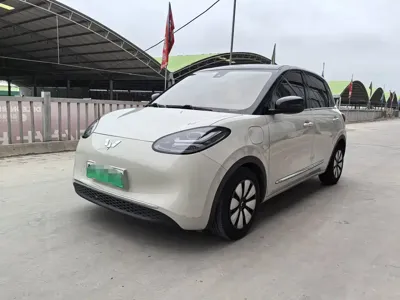Wuling Bingo