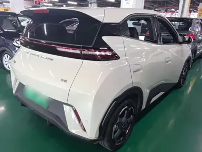 BYD Seagull
