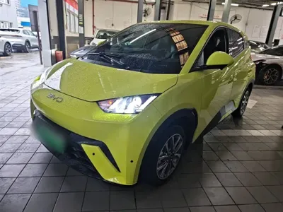 BYD Seagull