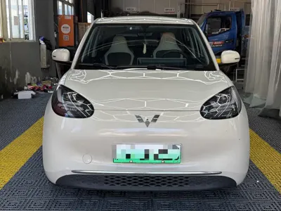 Wuling Bingo