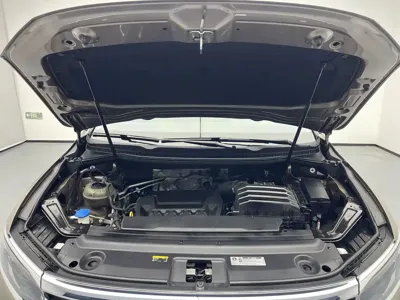 Volkswagen Viloran