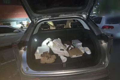 CHANGAN OSHAN Z6