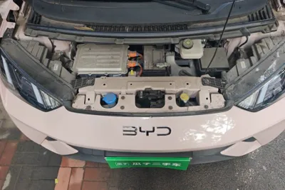 BYD Seagull