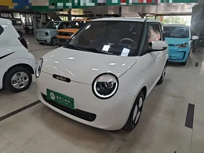 Qiyuan Lumin