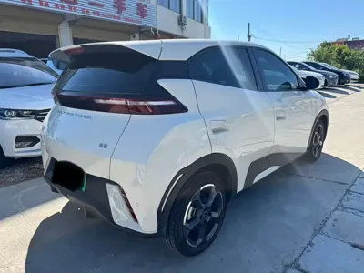 BYD Seagull