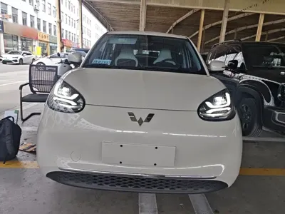 Wuling Bingo