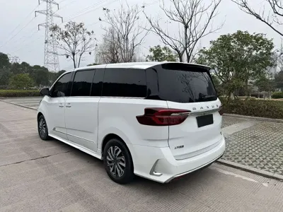 大通 G20