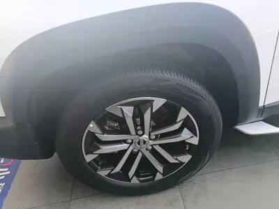 Haval Big Dog