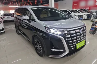 Denza D9