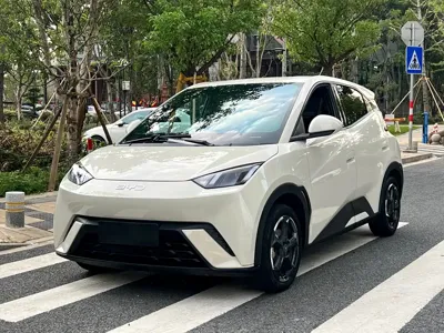BYD Seagull