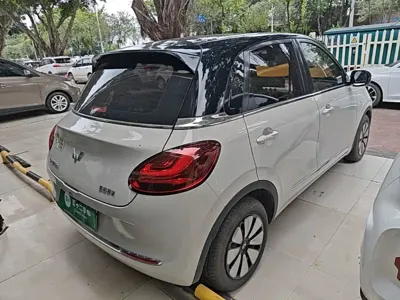 Wuling Bingo