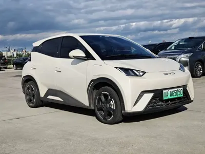 BYD Seagull