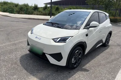 BYD Seagull