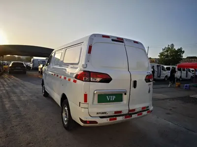 Ruixiang V2 EV