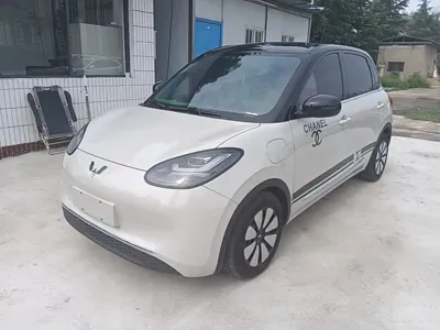 Wuling Bingo