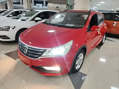 Baojun 310
