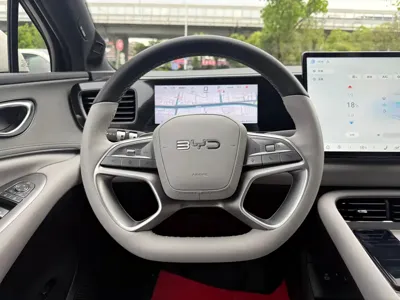 BYD 海狮06