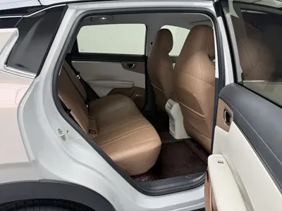 Wuling 缤果S
