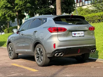 WEY Wey VV6