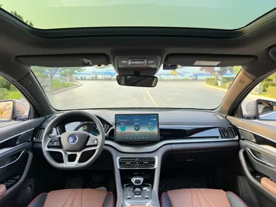 BYD PLUS