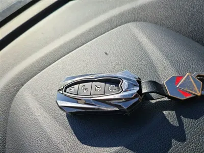BYD Pro