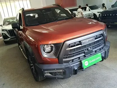Haval Big Dog