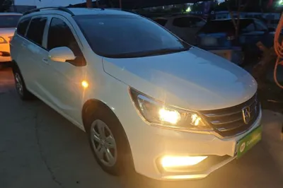 Baojun 310W