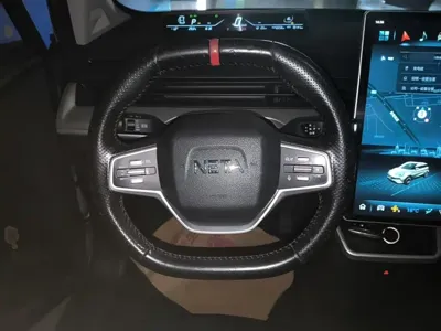 NETA Neta V