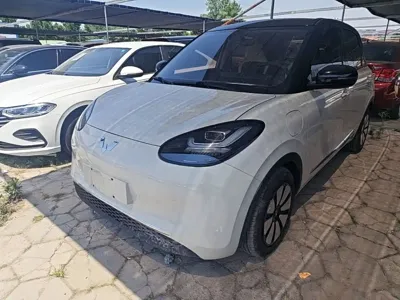 Wuling Bingo