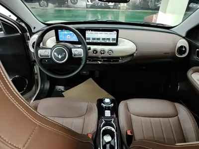 Wuling Bingo