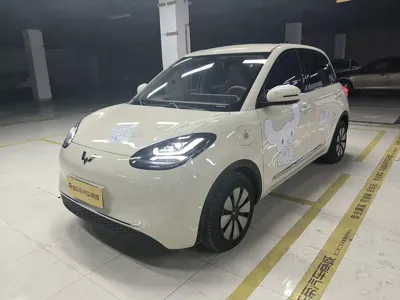 Wuling Bingo