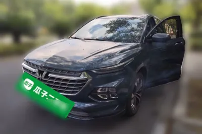 Wuling Victory