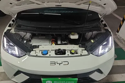 BYD Seagull