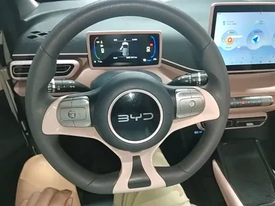 BYD Seagull